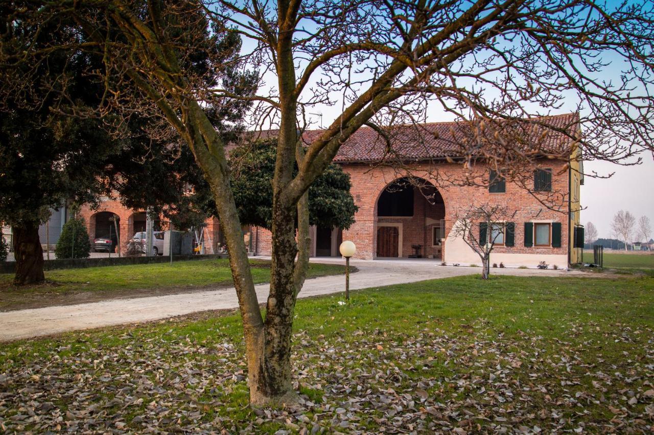 Вілла Casa Norma Piano Terra San Martino di Lupari Екстер'єр фото